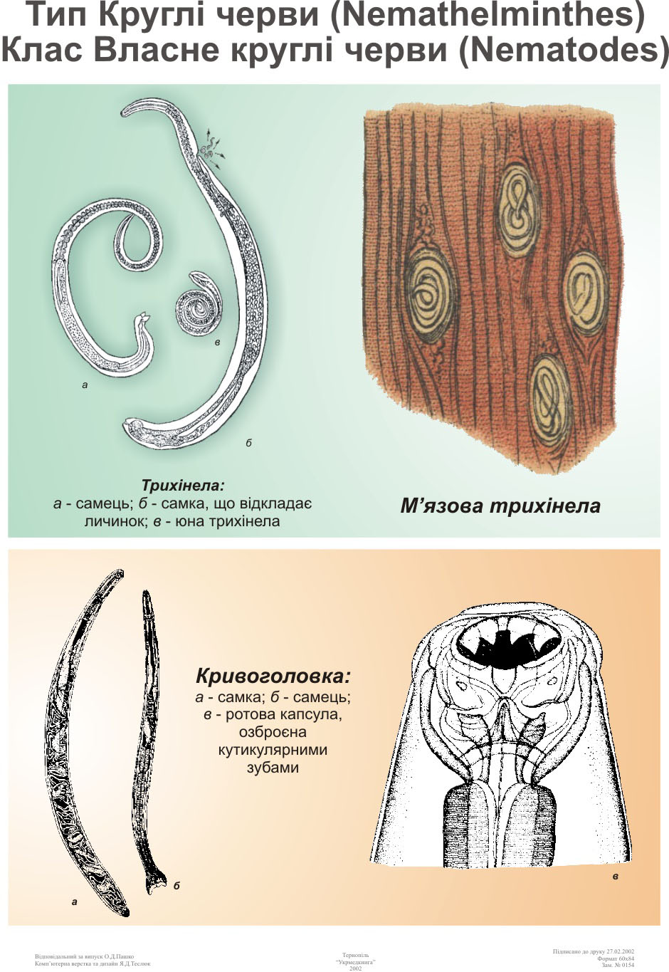 Ескіз