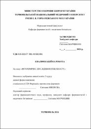 Ескіз