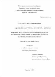 Ескіз